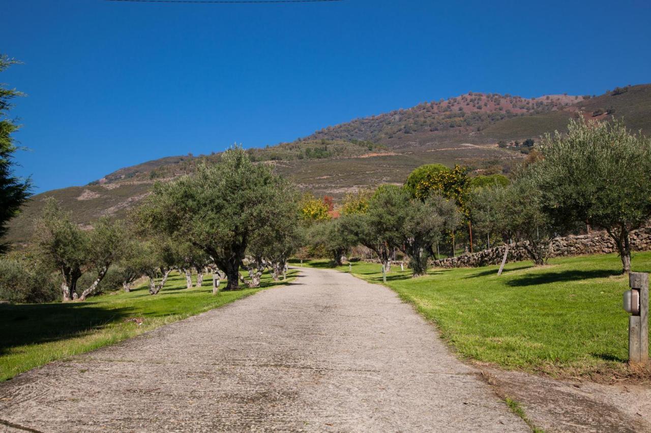 הוילה El Raso Finca La Sayuela מראה חיצוני תמונה