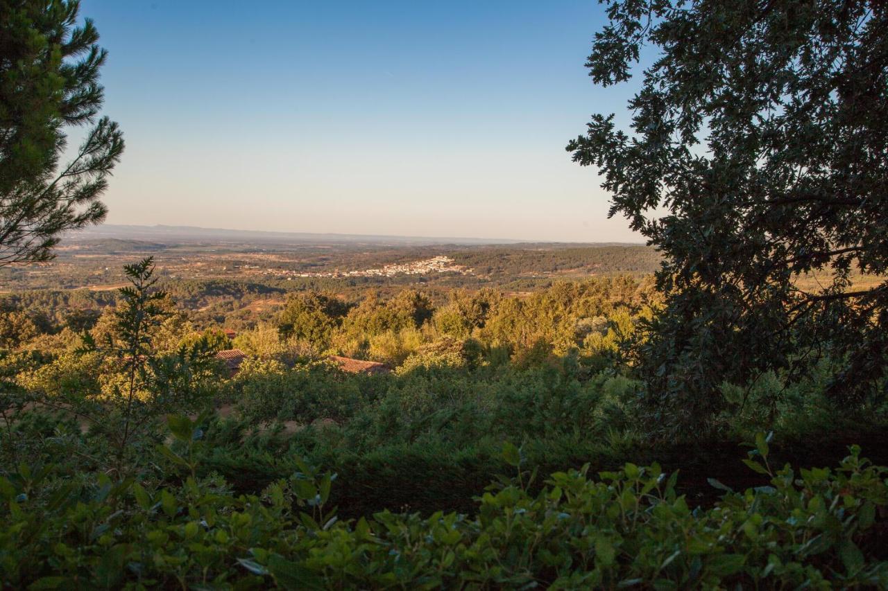 הוילה El Raso Finca La Sayuela מראה חיצוני תמונה